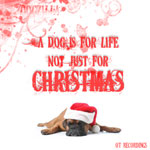 Dogzilla / A Dog Is For Life Not Just For Christmas