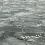 audio werner / meanwhile (hartchef discos)