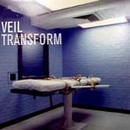 VEIL/TRANSFORM(LIGHT AND DARK)2LP