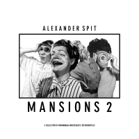 Alexander Spit / Mansions 2