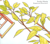 Ezekiel Honig/Scattered Practices(Microcosm Music)CD
